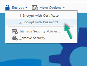 click on lock icon and select encrypt with password option